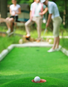 Putt Putt Setup - Daily Rate